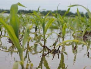 Are we having another food crisis?