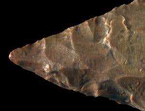 New Scientist. Science news and long reads from expert journalists, covering developments in science, technology, health and the environment on the website and the magazine.