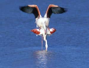 New Scientist. Science news and long reads from expert journalists, covering developments in science, technology, health and the environment on the website and the magazine.