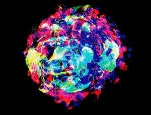 Cosmic accidents: One giant leap for a single cell