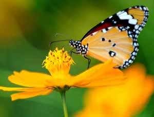 Cosmic accidents: The certainty of chance