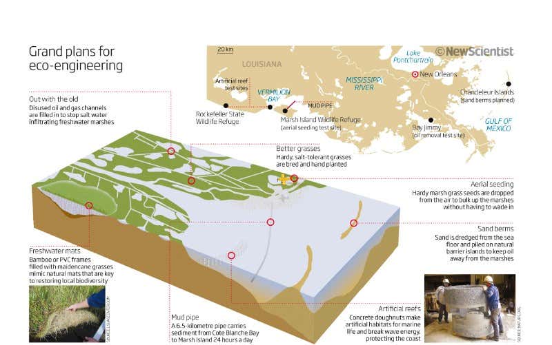 Grand plans for eco-engineering