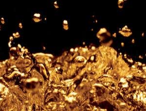 New Scientist. Science news and long reads from expert journalists, covering developments in science, technology, health and the environment on the website and the magazine.