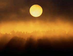 New Scientist. Science news and long reads from expert journalists, covering developments in science, technology, health and the environment on the website and the magazine.