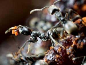 New Scientist. Science news and long reads from expert journalists, covering developments in science, technology, health and the environment on the website and the magazine.