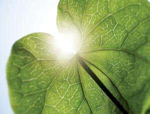 New Scientist. Science news and long reads from expert journalists, covering developments in science, technology, health and the environment on the website and the magazine.