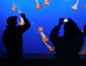 50 ideas to change science forever: Computing