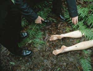 Morality: My brain made me do it