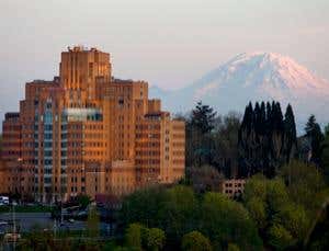 New Scientist. Science news and long reads from expert journalists, covering developments in science, technology, health and the environment on the website and the magazine.