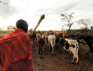 New Scientist. Science news and long reads from expert journalists, covering developments in science, technology, health and the environment on the website and the magazine.