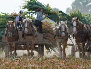 Machine needs: How technology is shaping humanity