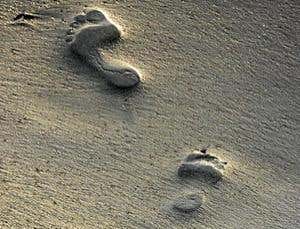 New Scientist. Science news and long reads from expert journalists, covering developments in science, technology, health and the environment on the website and the magazine.