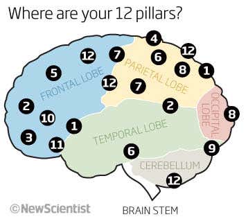 Where are your 12 pillars?