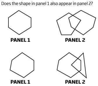 Putting your intelligence to the ultimate test