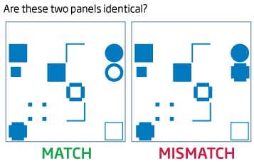 Putting your intelligence to the ultimate test