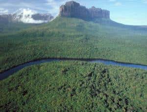 New Scientist. Science news and long reads from expert journalists, covering developments in science, technology, health and the environment on the website and the magazine.