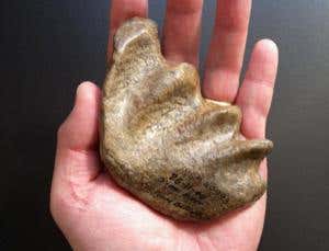 New Scientist. Science news and long reads from expert journalists, covering developments in science, technology, health and the environment on the website and the magazine.