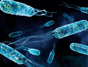 New Scientist. Science news and long reads from expert journalists, covering developments in science, technology, health and the environment on the website and the magazine.