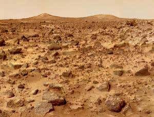 Hardy bugs could survive a million years on Mars