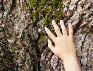 Microsoft develops shape-shifting touchscreen