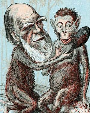 Human origins: Search for roots that Darwin started