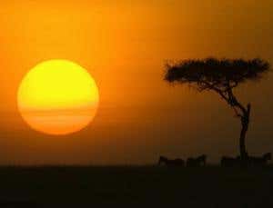 Human origins: It began in Africa