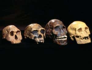 Human origins: Rise of the modern mind