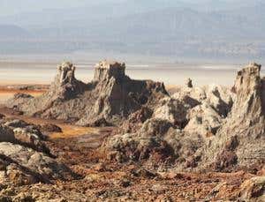 New Scientist. Science news and long reads from expert journalists, covering developments in science, technology, health and the environment on the website and the magazine.