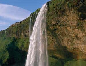 New Scientist. Science news and long reads from expert journalists, covering developments in science, technology, health and the environment on the website and the magazine.