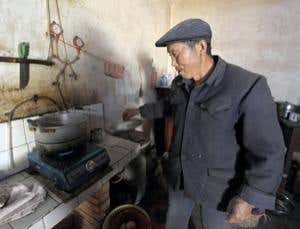 Cold climates no bar to biogas production