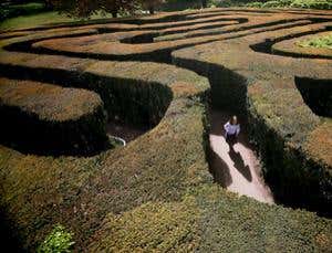 New Scientist. Science news and long reads from expert journalists, covering developments in science, technology, health and the environment on the website and the magazine.