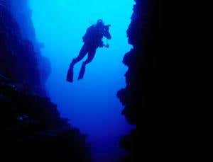 New Scientist. Science news and long reads from expert journalists, covering developments in science, technology, health and the environment on the website and the magazine.