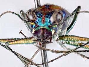 New Scientist. Science news and long reads from expert journalists, covering developments in science, technology, health and the environment on the website and the magazine.