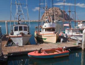 Californian conservationists go trawl fishing