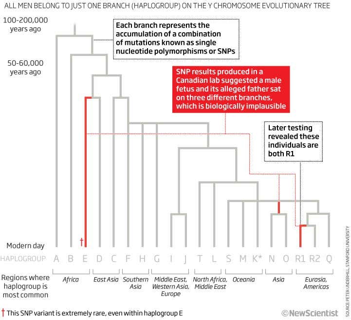 The danger of unreliable paternity tests