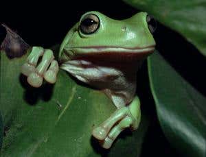 New Scientist. Science news and long reads from expert journalists, covering developments in science, technology, health and the environment on the website and the magazine.