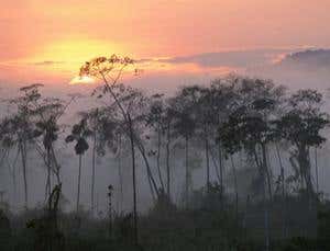 New Scientist. Science news and long reads from expert journalists, covering developments in science, technology, health and the environment on the website and the magazine.