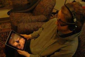 Christmas trees could make a great green fuel