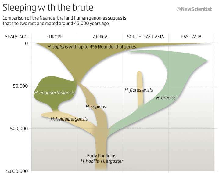 Sleeping with the brute
