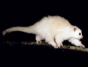 Climate shock: One heatwave from oblivion