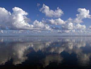 New Scientist. Science news and long reads from expert journalists, covering developments in science, technology, health and the environment on the website and the magazine.