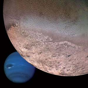 Blue lions: The search for rogue planets