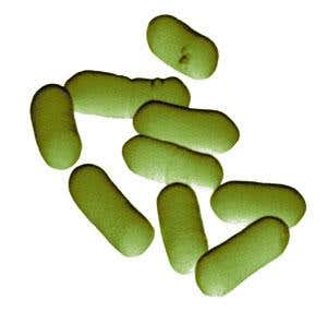 New Scientist. Science news and long reads from expert journalists, covering developments in science, technology, health and the environment on the website and the magazine.