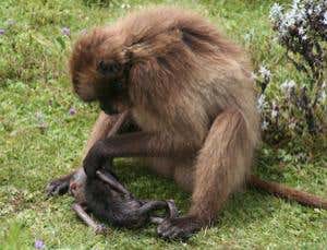 New Scientist. Science news and long reads from expert journalists, covering developments in science, technology, health and the environment on the website and the magazine.