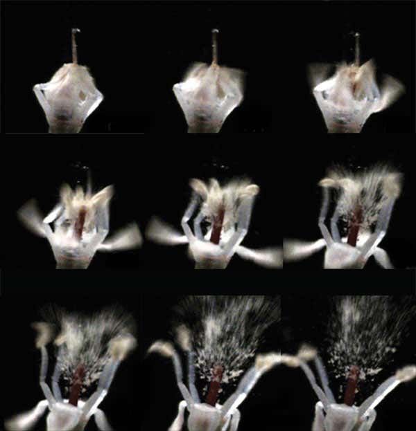 New Scientist. Science news and long reads from expert journalists, covering developments in science, technology, health and the environment on the website and the magazine.