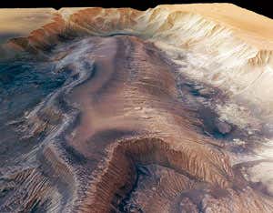 New Scientist 2010 holiday quiz