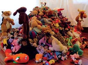 Border collie takes record for biggest vocabulary