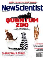 New Scientist issue 2796 cover