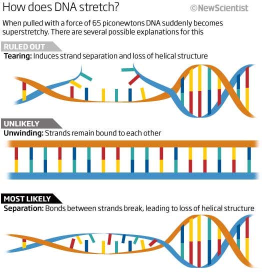 New Scientist. Science news and long reads from expert journalists, covering developments in science, technology, health and the environment on the website and the magazine.