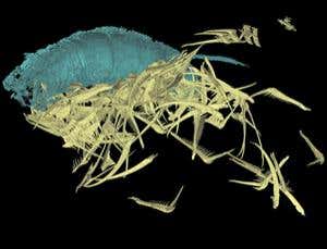 New Scientist. Science news and long reads from expert journalists, covering developments in science, technology, health and the environment on the website and the magazine.